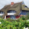Tour 12: Darß - 1